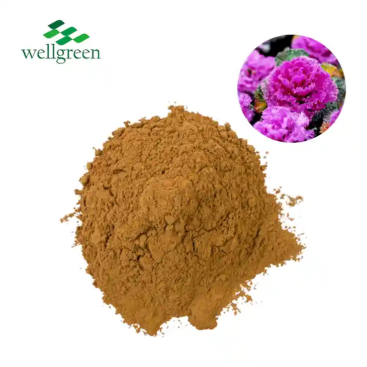 Brassica Oleracea Leaf Extract